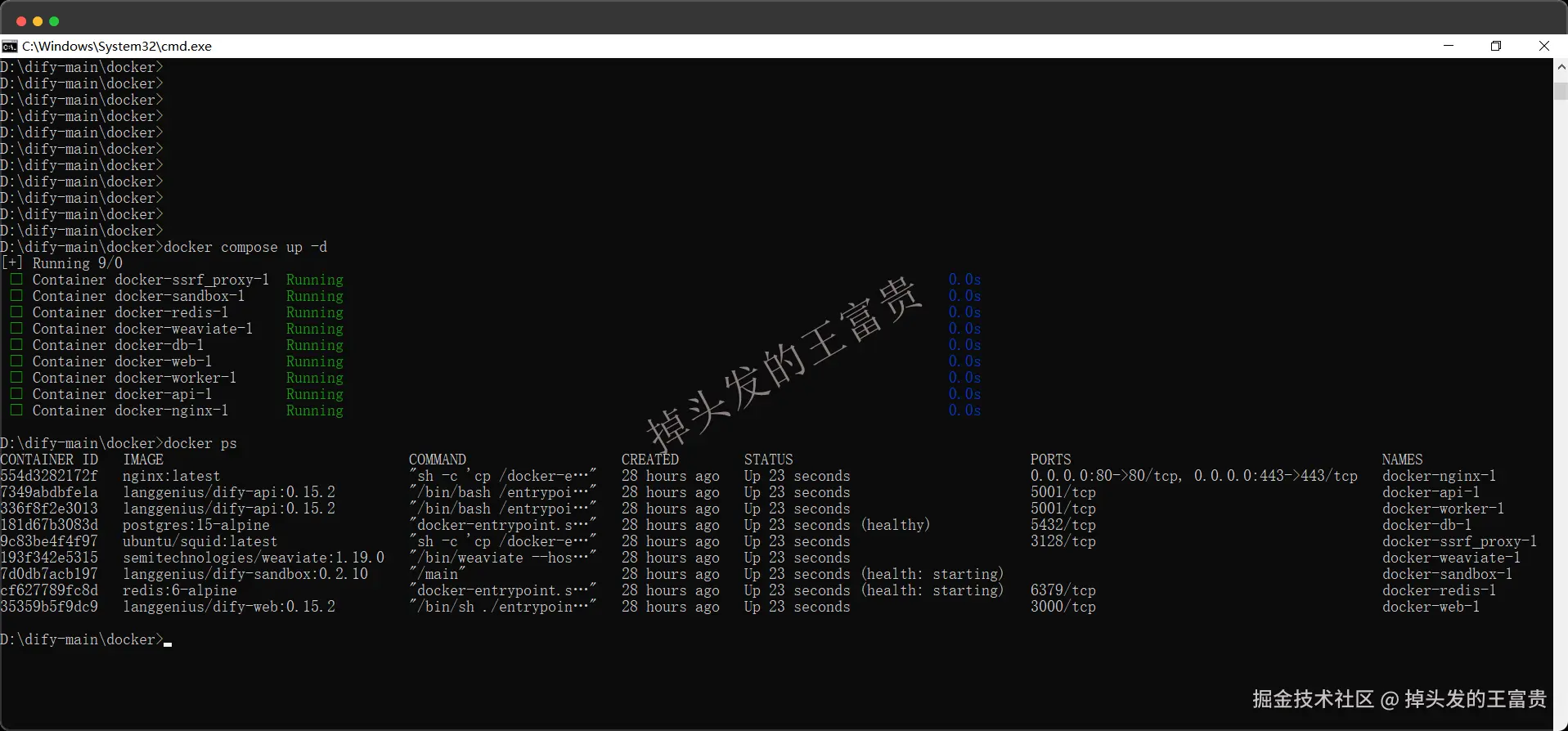 image-20250206191330412