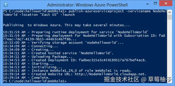 Publish-AzureService 命令的输出