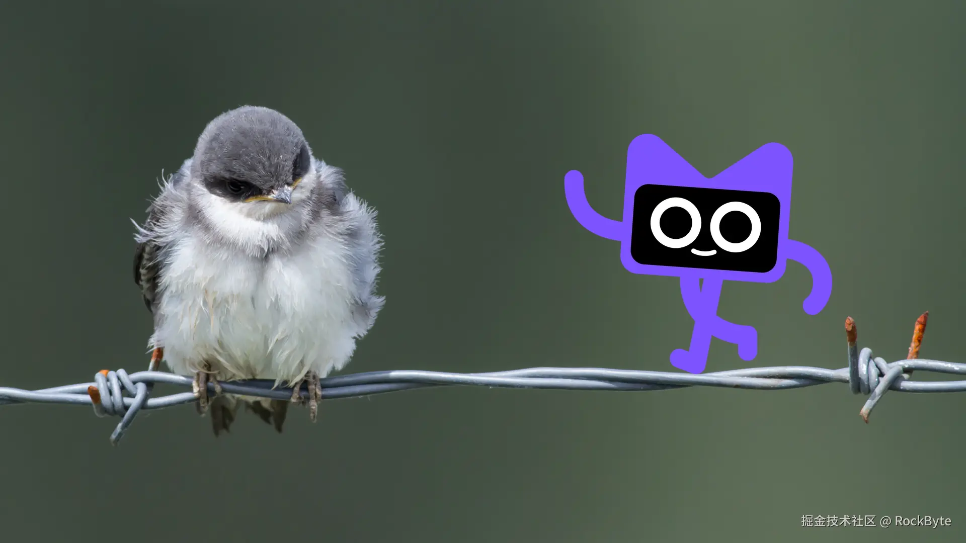 obj.png