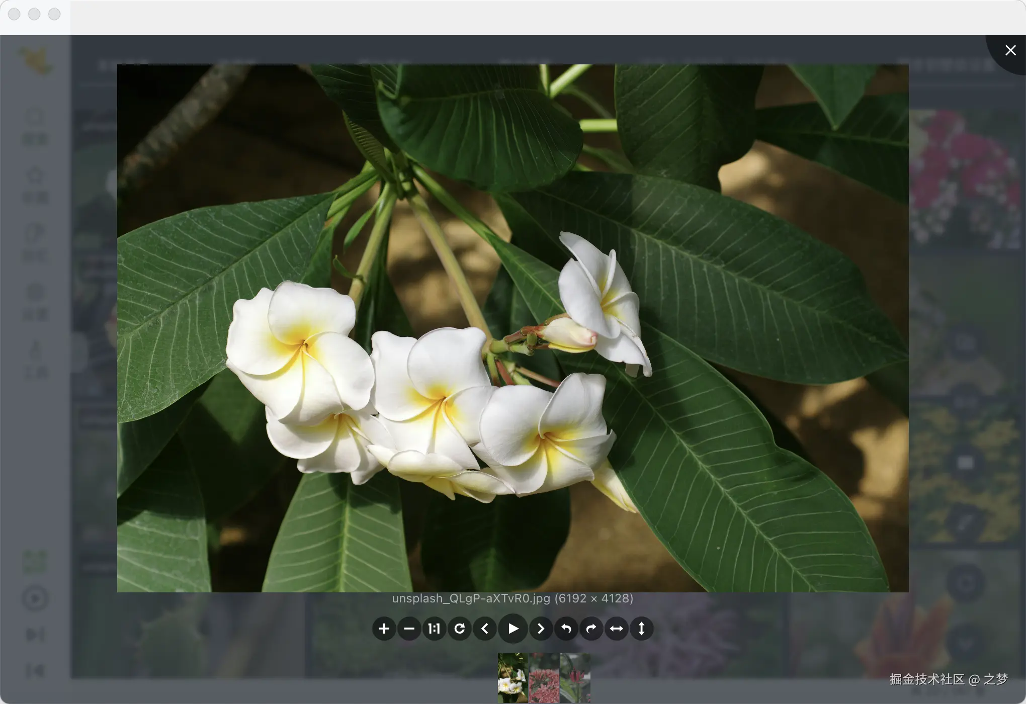 fbw_viewer_inline.png