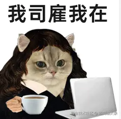 image-20250125103524830