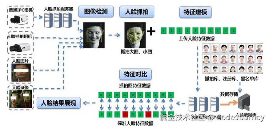 image-20240810145834357