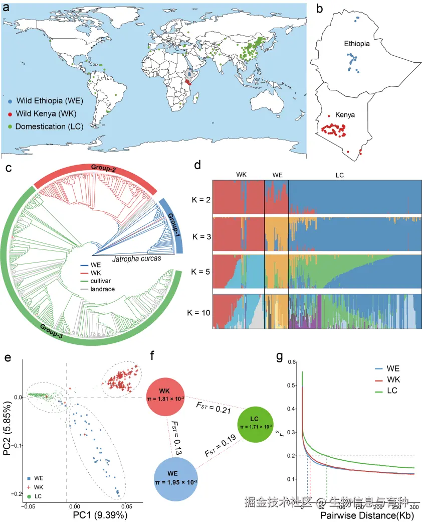 Xu W, Wu D, Yang T, et al. Genomic insights into the origin, domestication and genetic basis of agronomic traits of castor bean. Genome Biol. 2021;22(1):113.