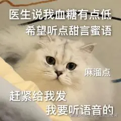 0E03331E.jpg