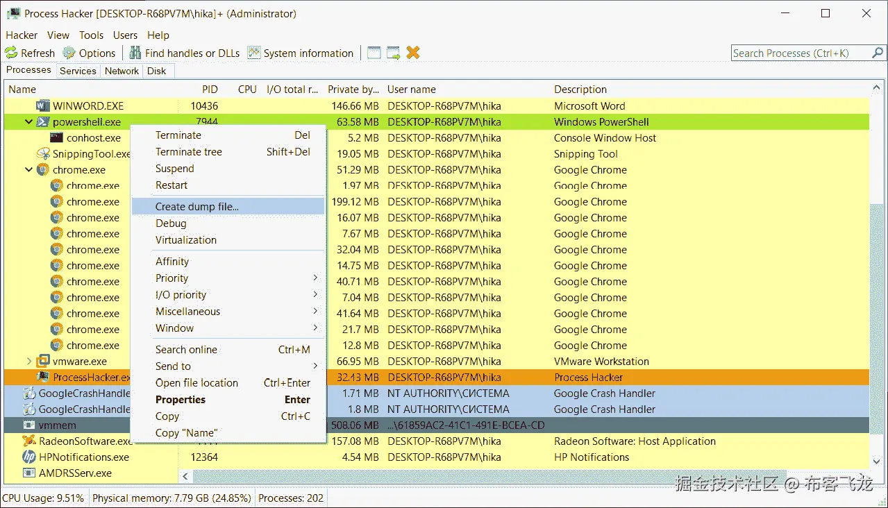 图 6.36 – 使用 Process Hacker 创建进程转储