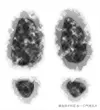 footprints-cloud.png
