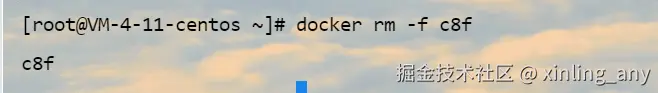 image-20240824111205808