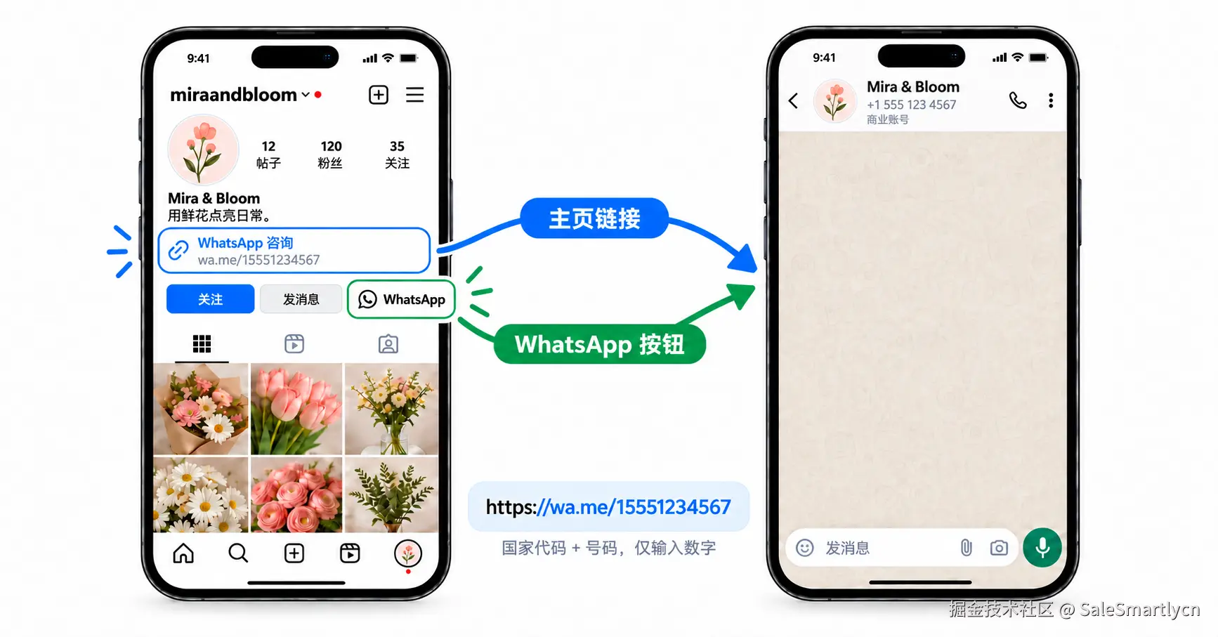WhatsApp链接