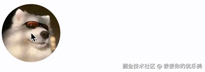 20241206161641.gif