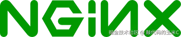 Nginx Logo