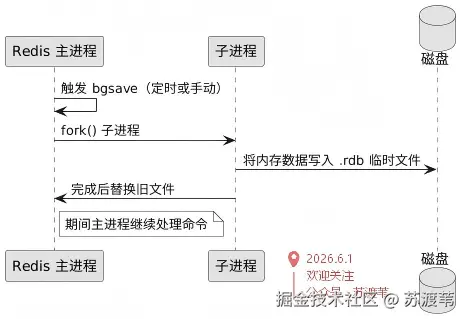 RDB 快照流程