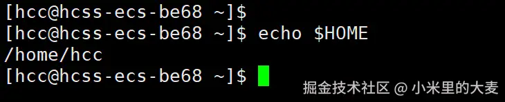 image-20250322204611987