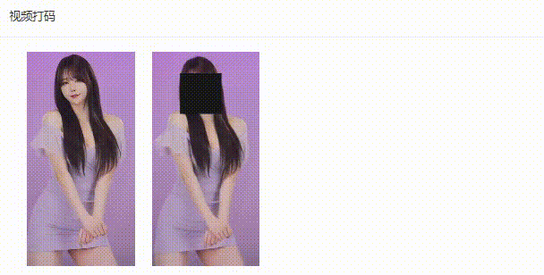 视频打码.gif