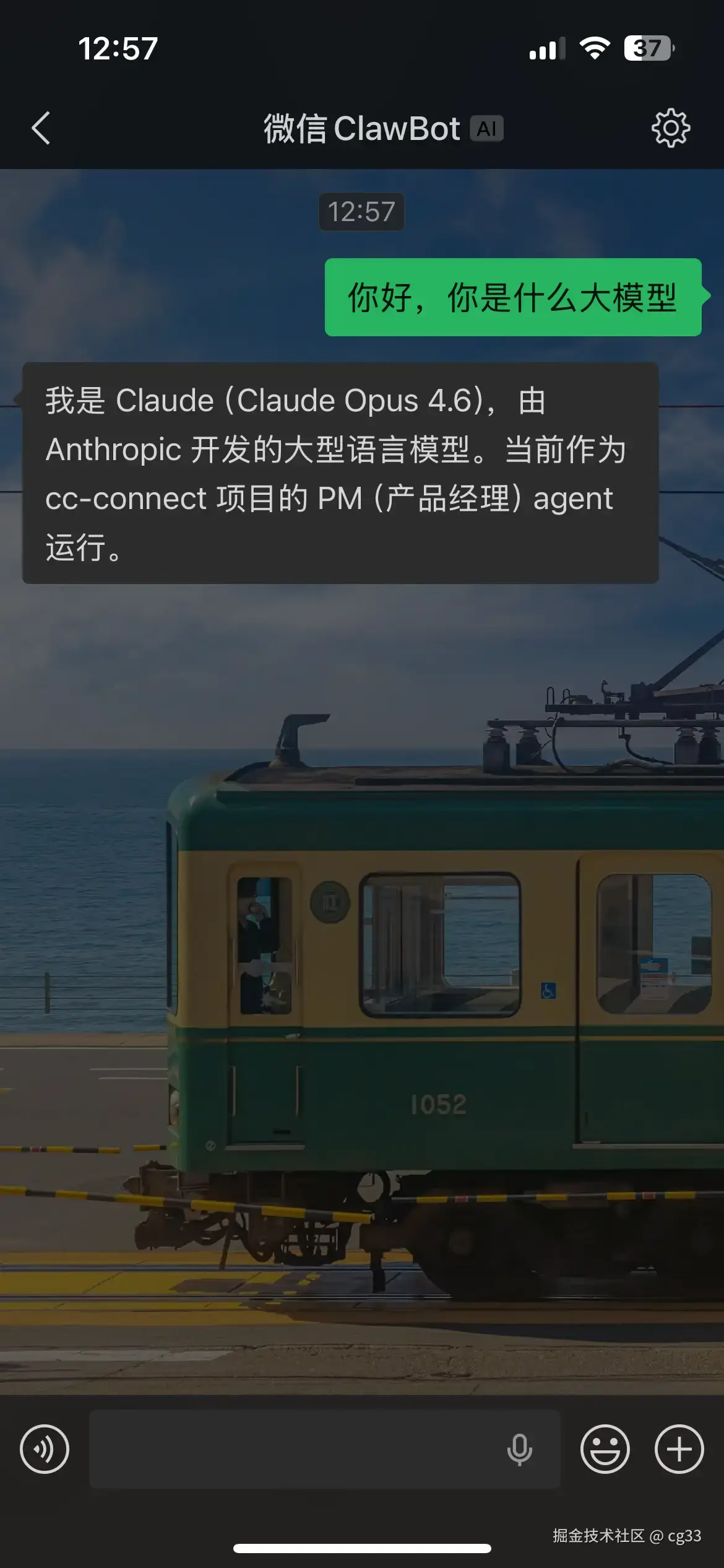 接入后微信聊天界面截图 3