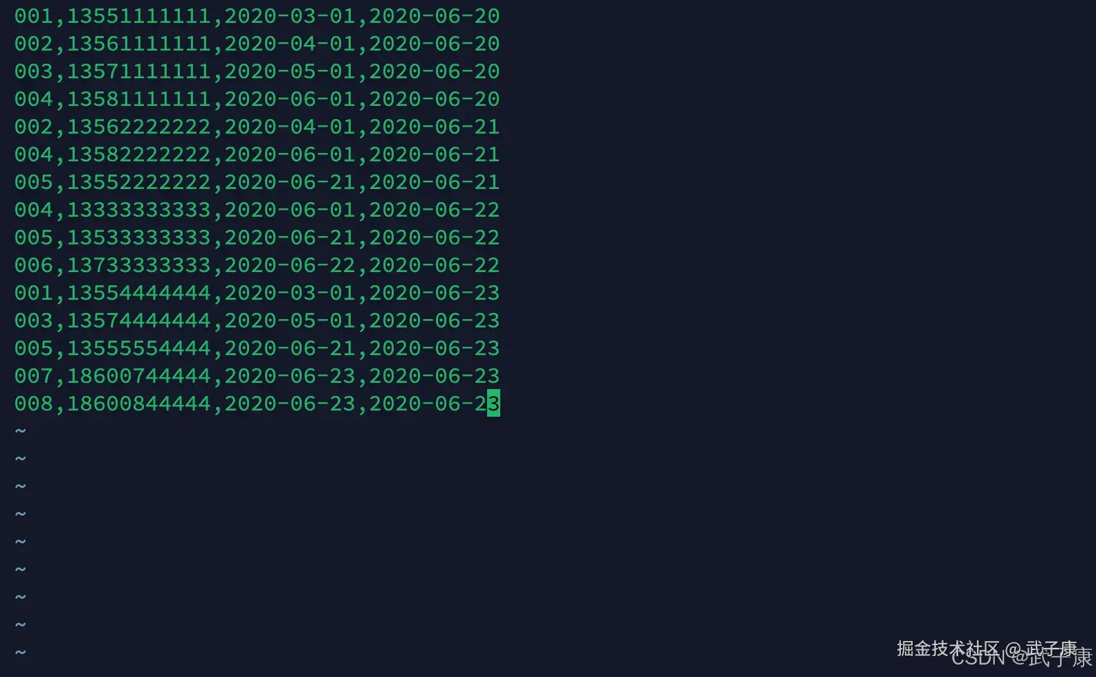 离线数仓 查看测试文件