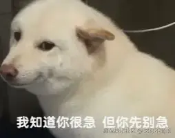 temp.png