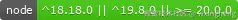 Node Version