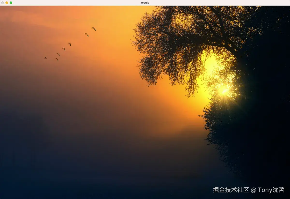 同态滤波后的效果图.png
