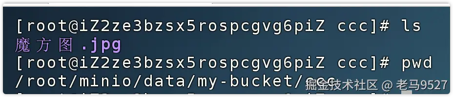 image-20241224145405922