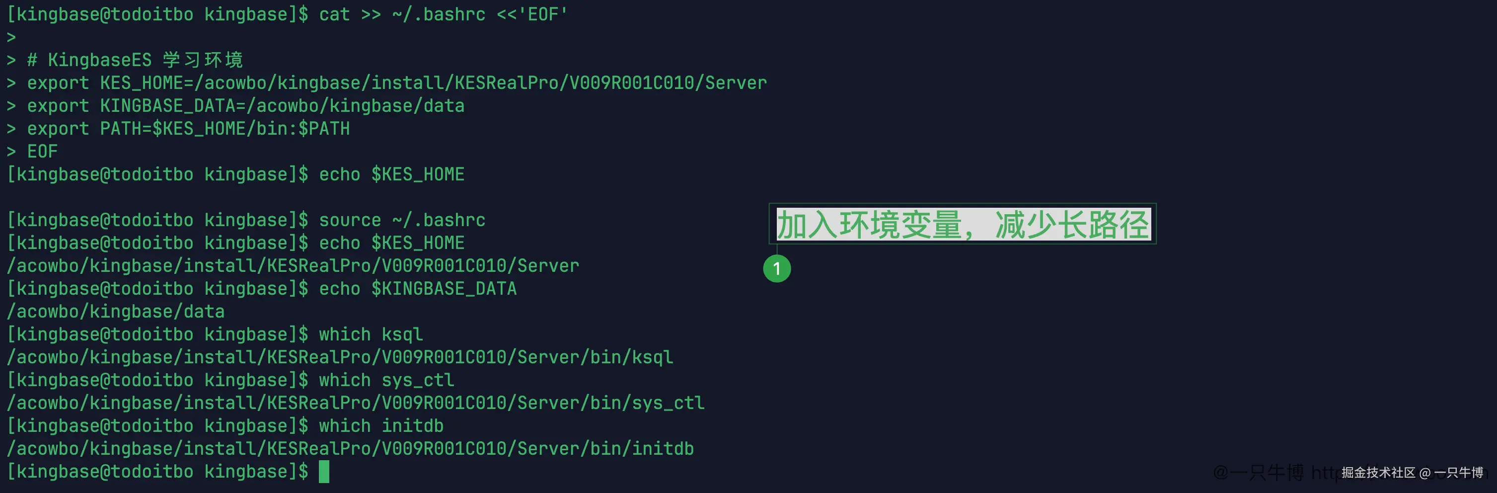 加入环境变量