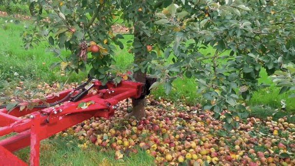 57a2185d1300002a007c2b64.gif