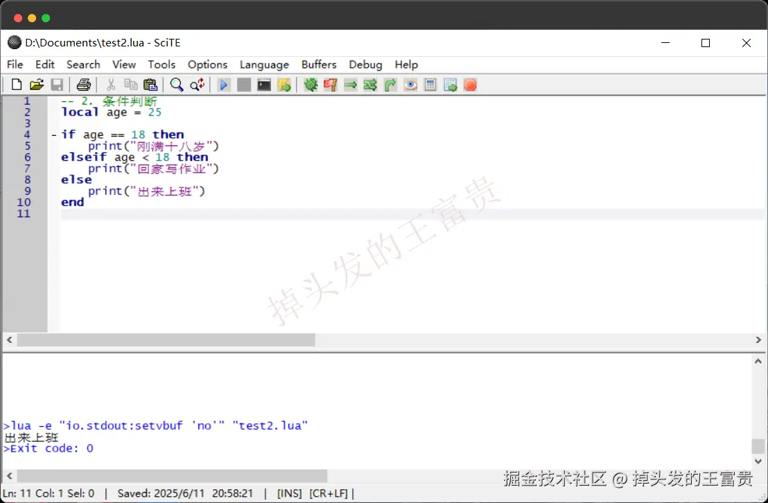 image-20250611205849611