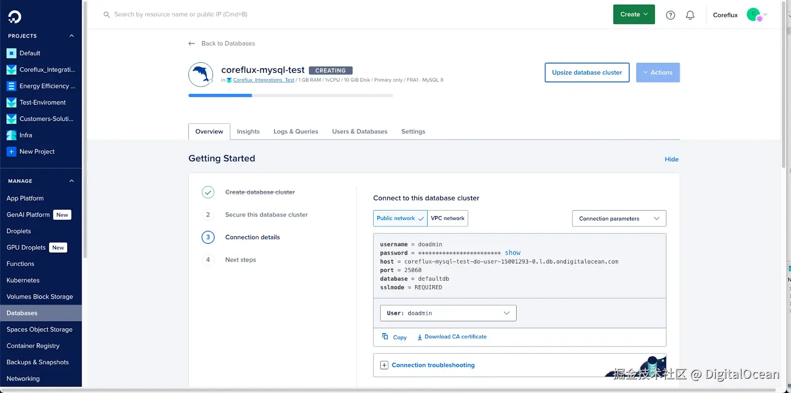 MySQL 公共和 VPC 连接详细信息