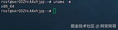image-20250319154318605