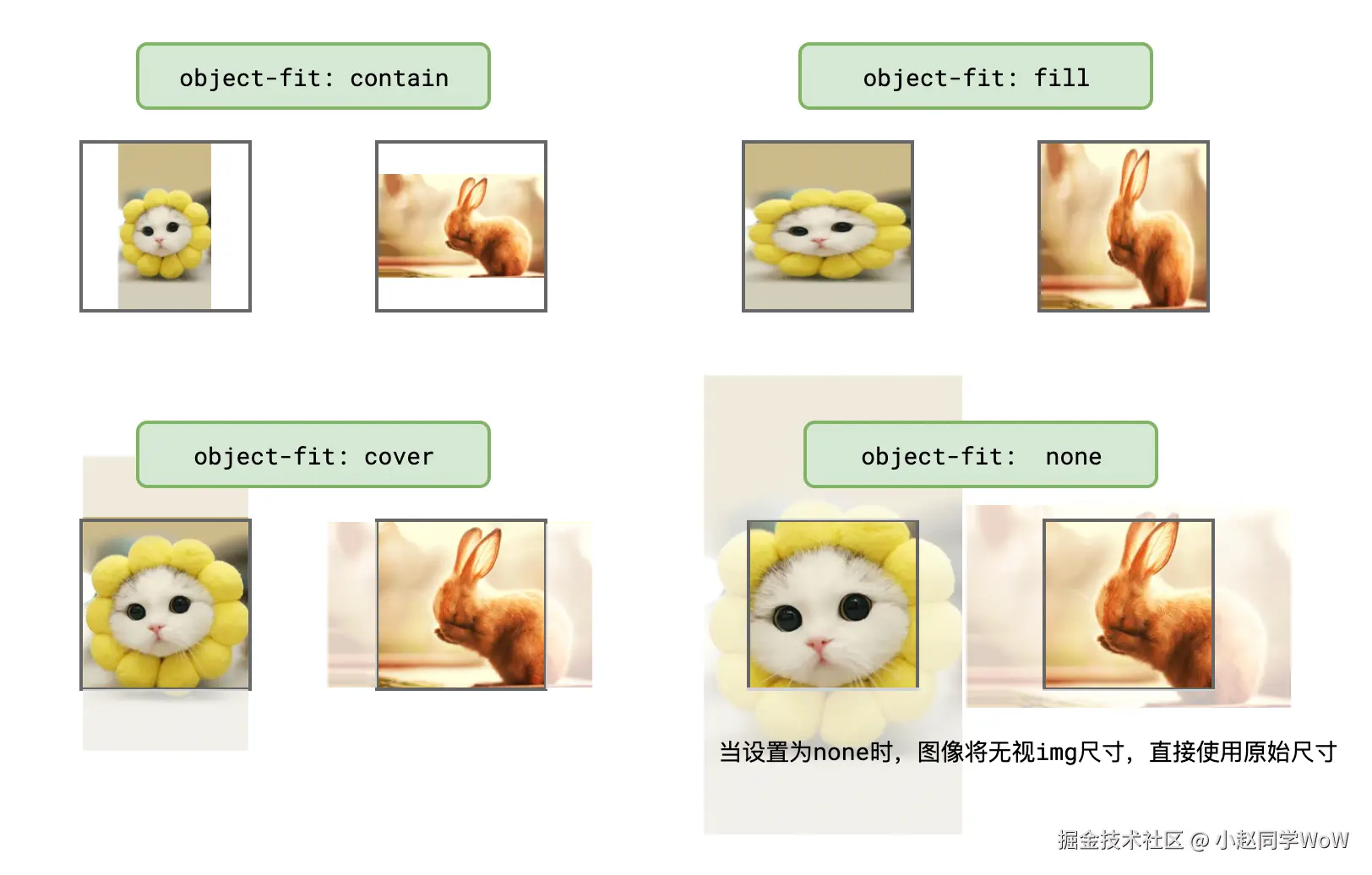 image-20210514134908778