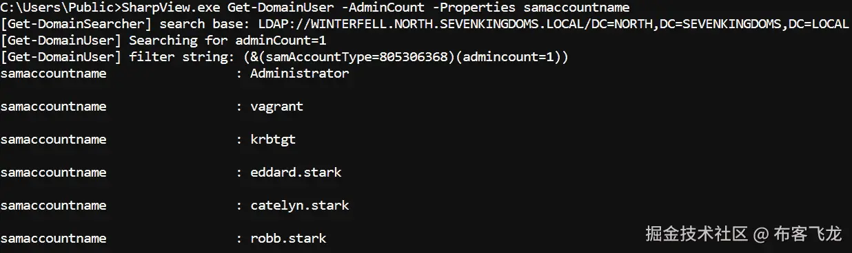 图 3.16 – 具有 AdminCount=1 属性的用户列表