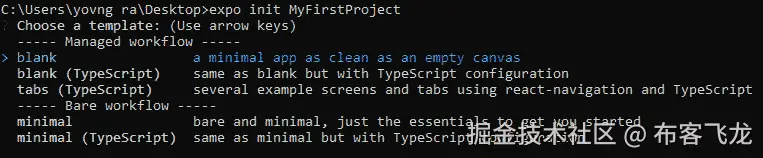图 1.6 - 初始化项目后您将看到的表示