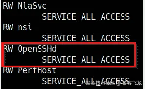 图 8.15 – accesschk 结果