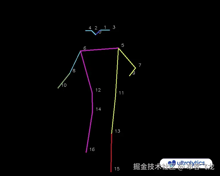 Ultralytics YOLOv8 姿势关键点顺序