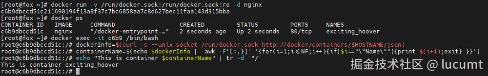 "通过socket获取随机生成的容器名"