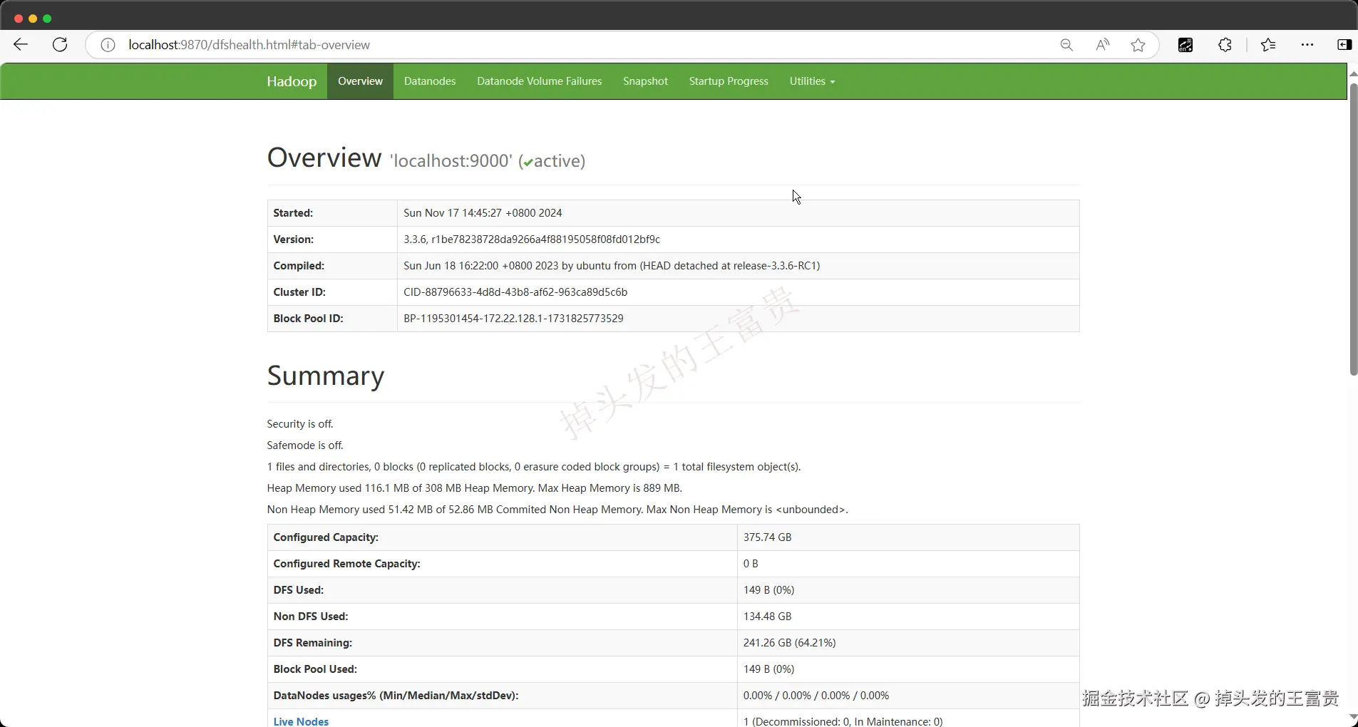 image-20241117144830640