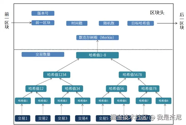 image-20241116011022457