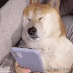 无字动图.gif