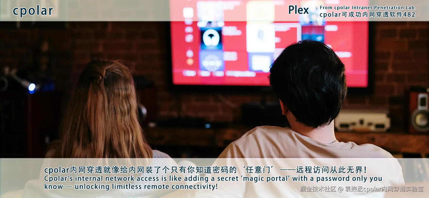 NO.482 Plex-02.png