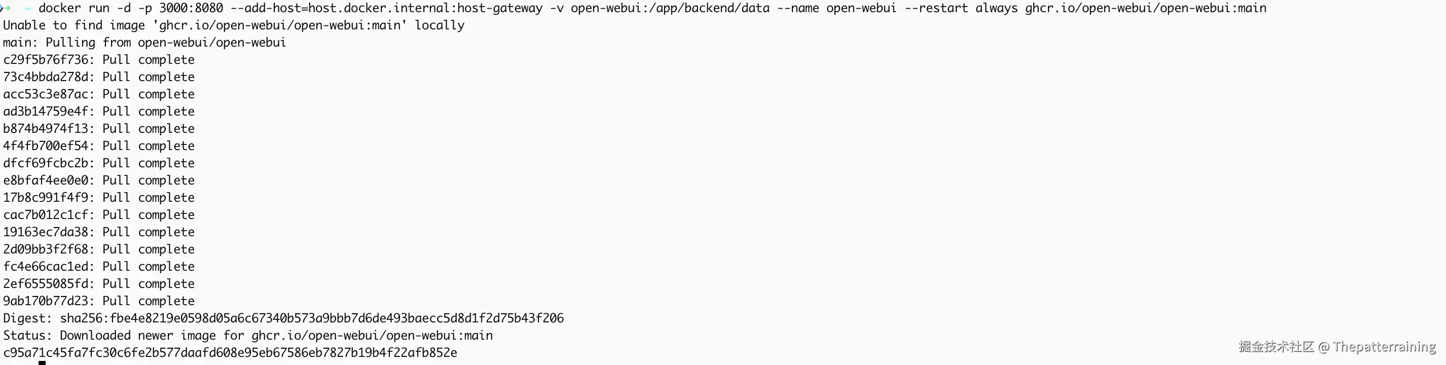 deepseek2-9