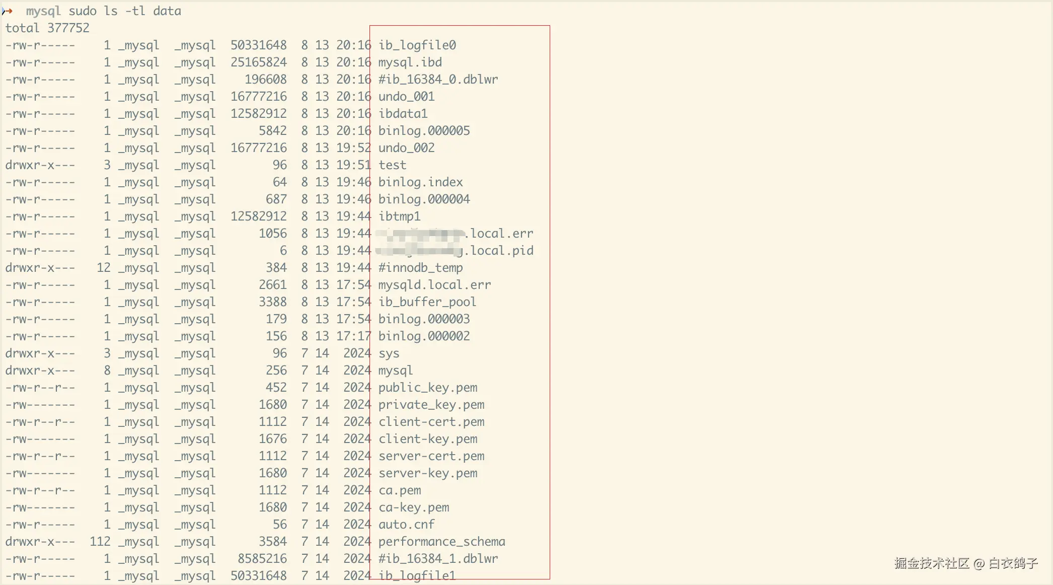 mysql-8-file.png
