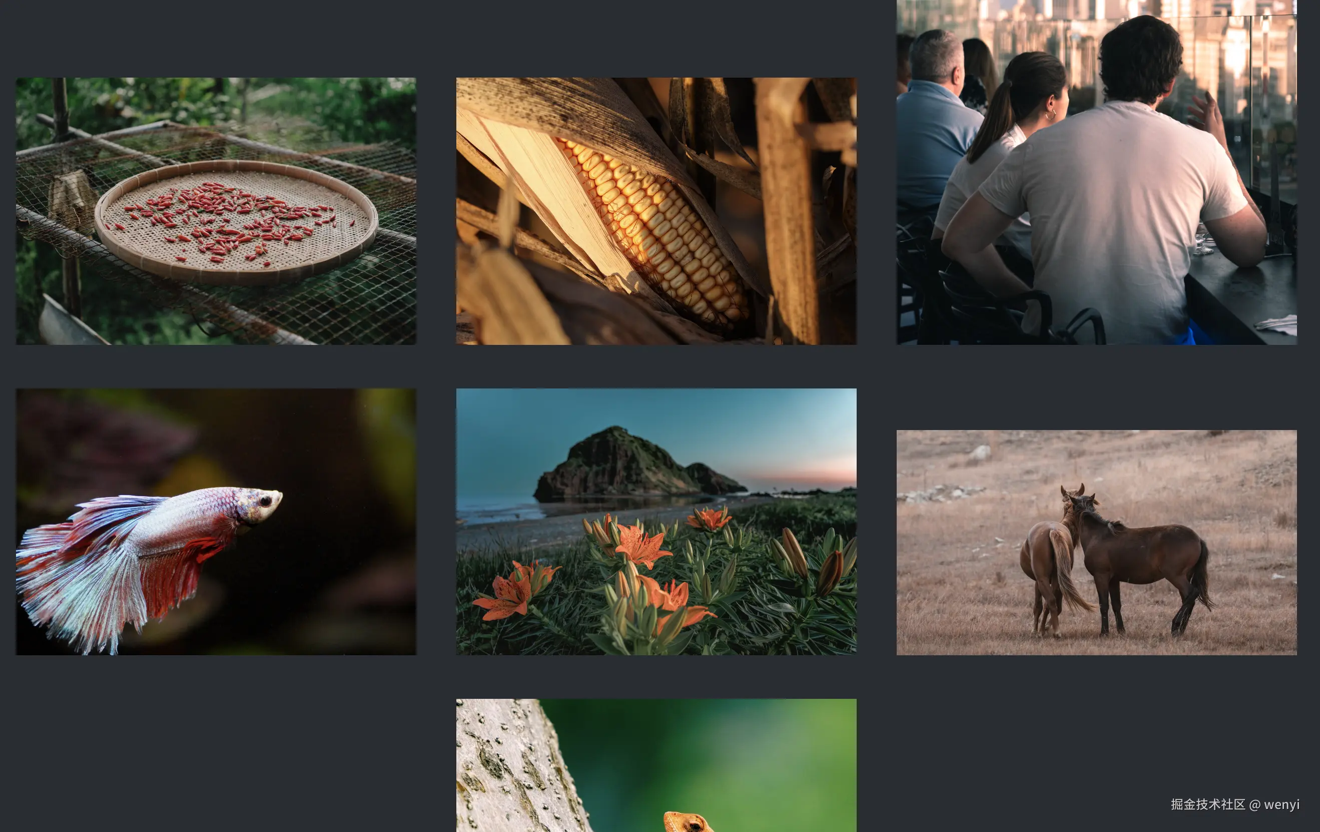 website display