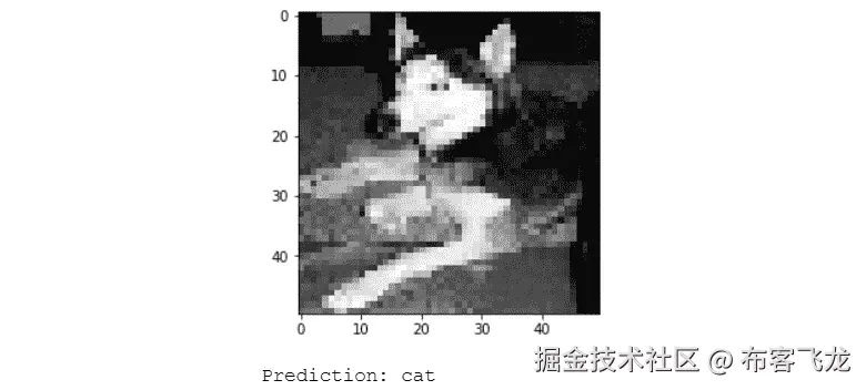 图 6.41：正则化的 CNN 模型错误预测狗