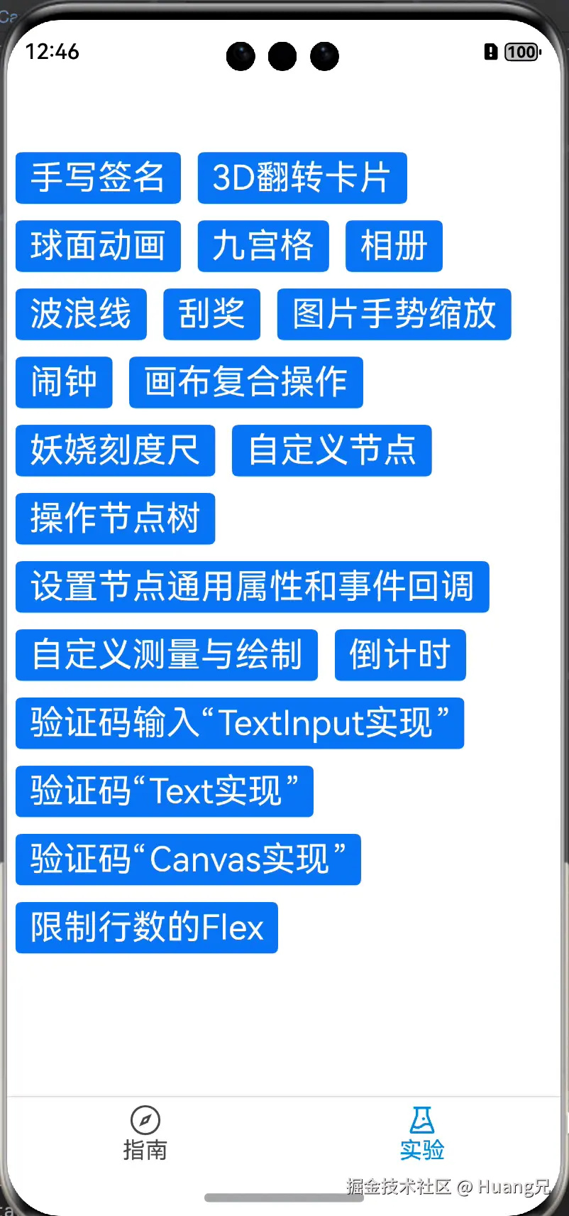 canvas_input.gif