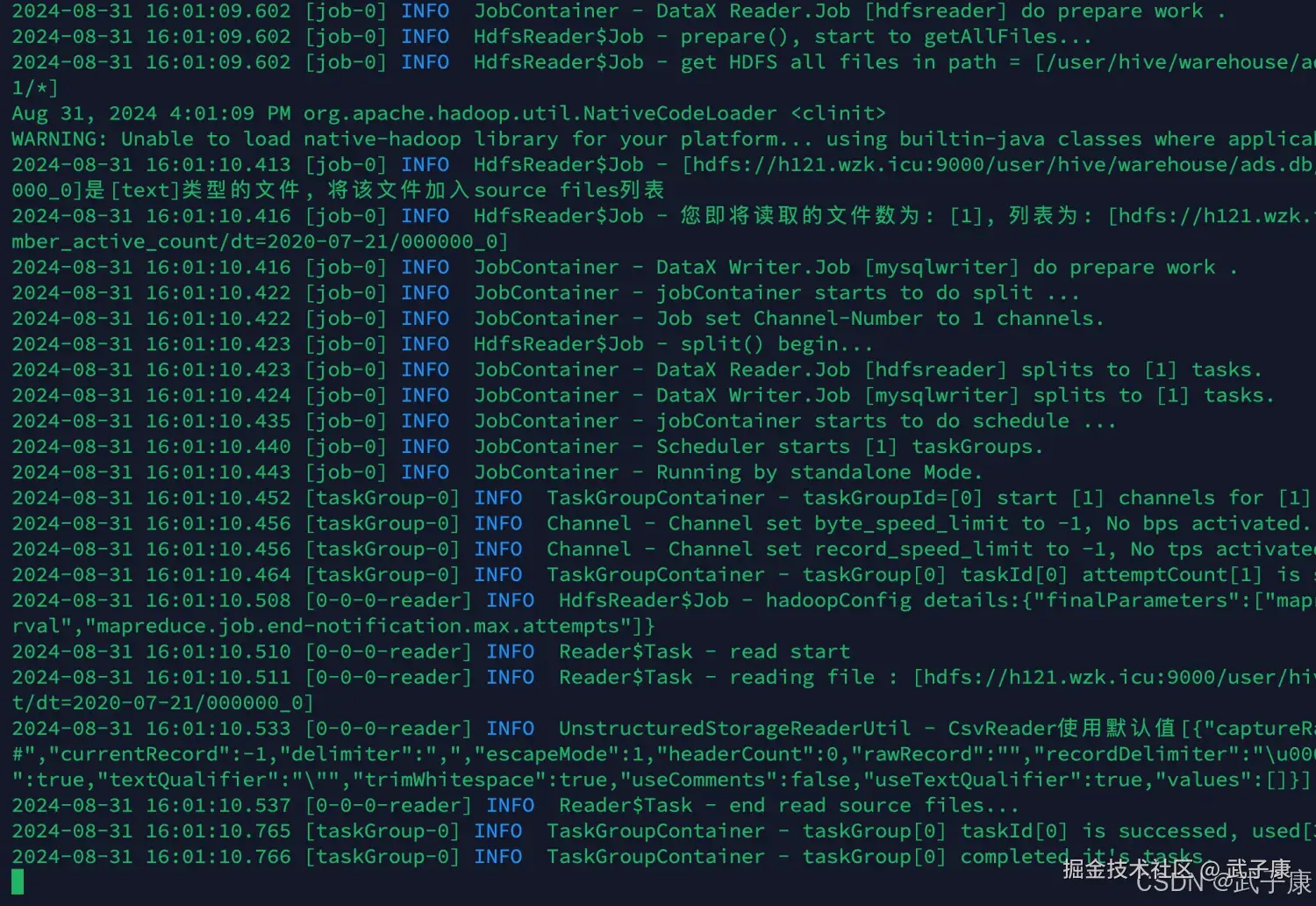 离线数仓 DataX 执行