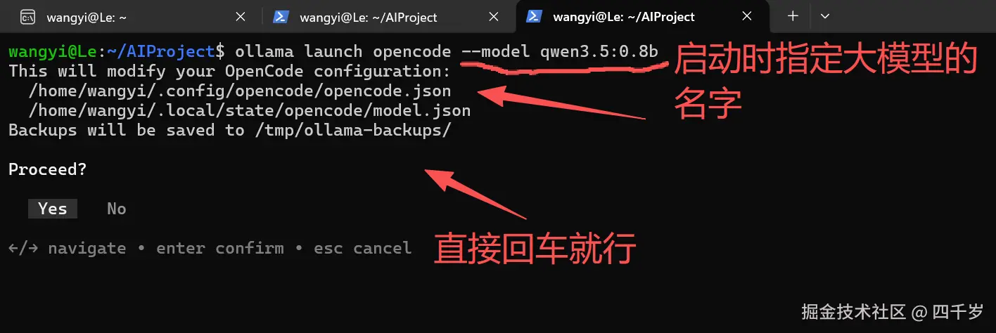 启动时指定大模型的名字