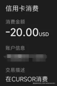 CURSOR付费情况