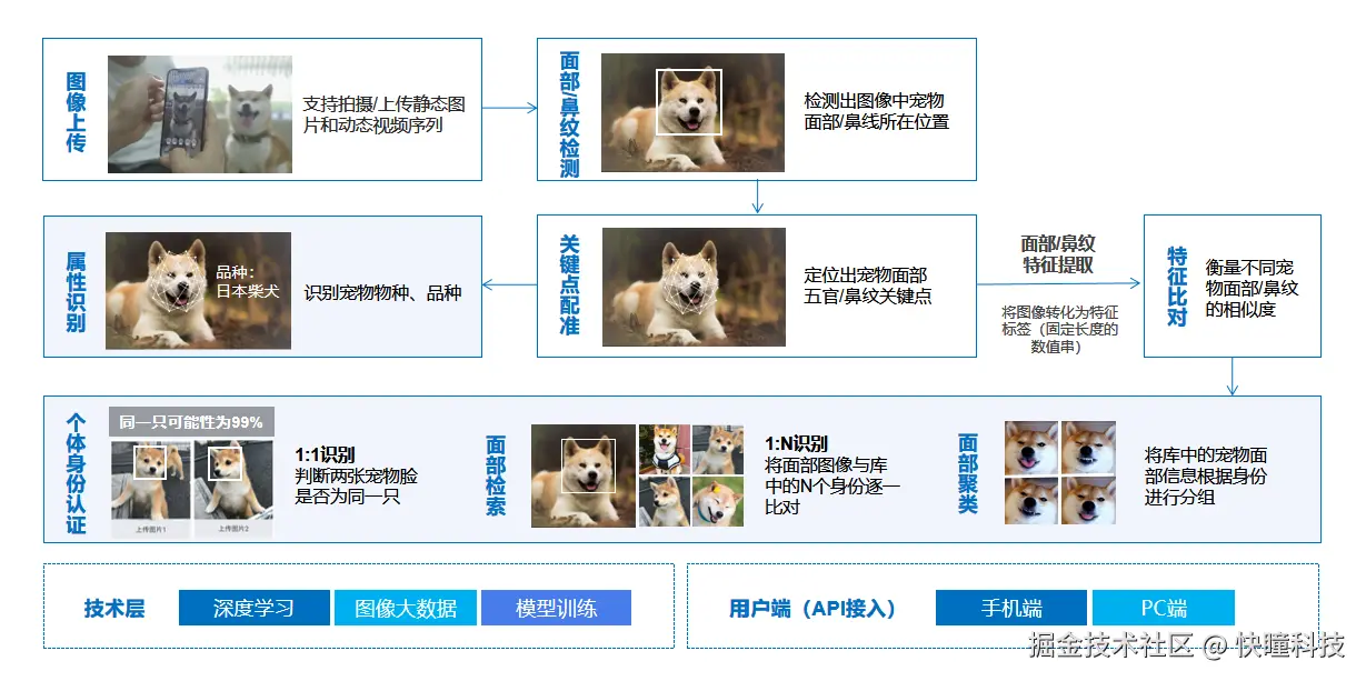 猫砂盆宠物比对流程
