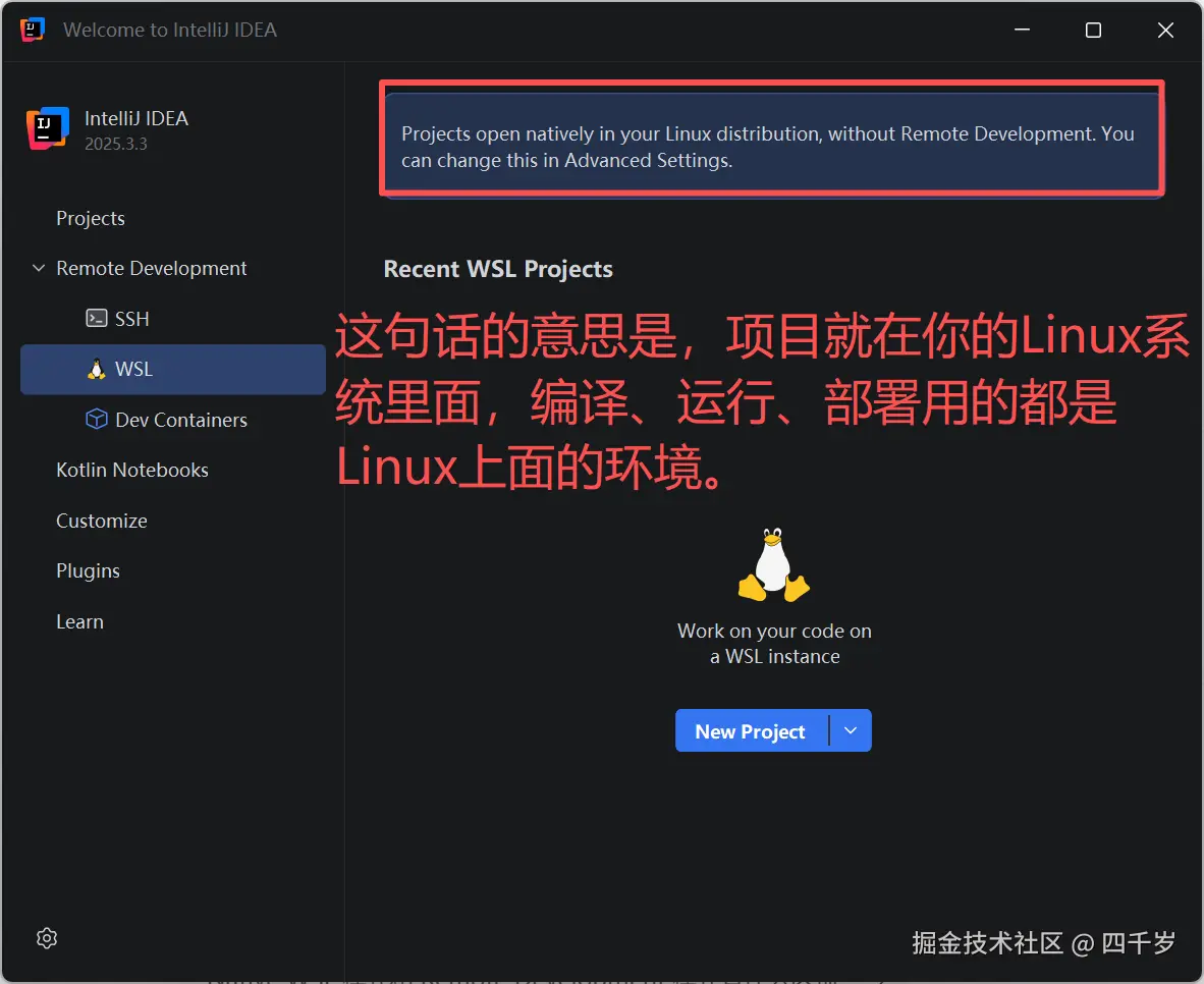 原生WSL集成模式介绍